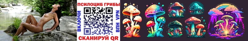 Псилоцибиновые грибы прущие грибы  даркнет сайт  Саранск 